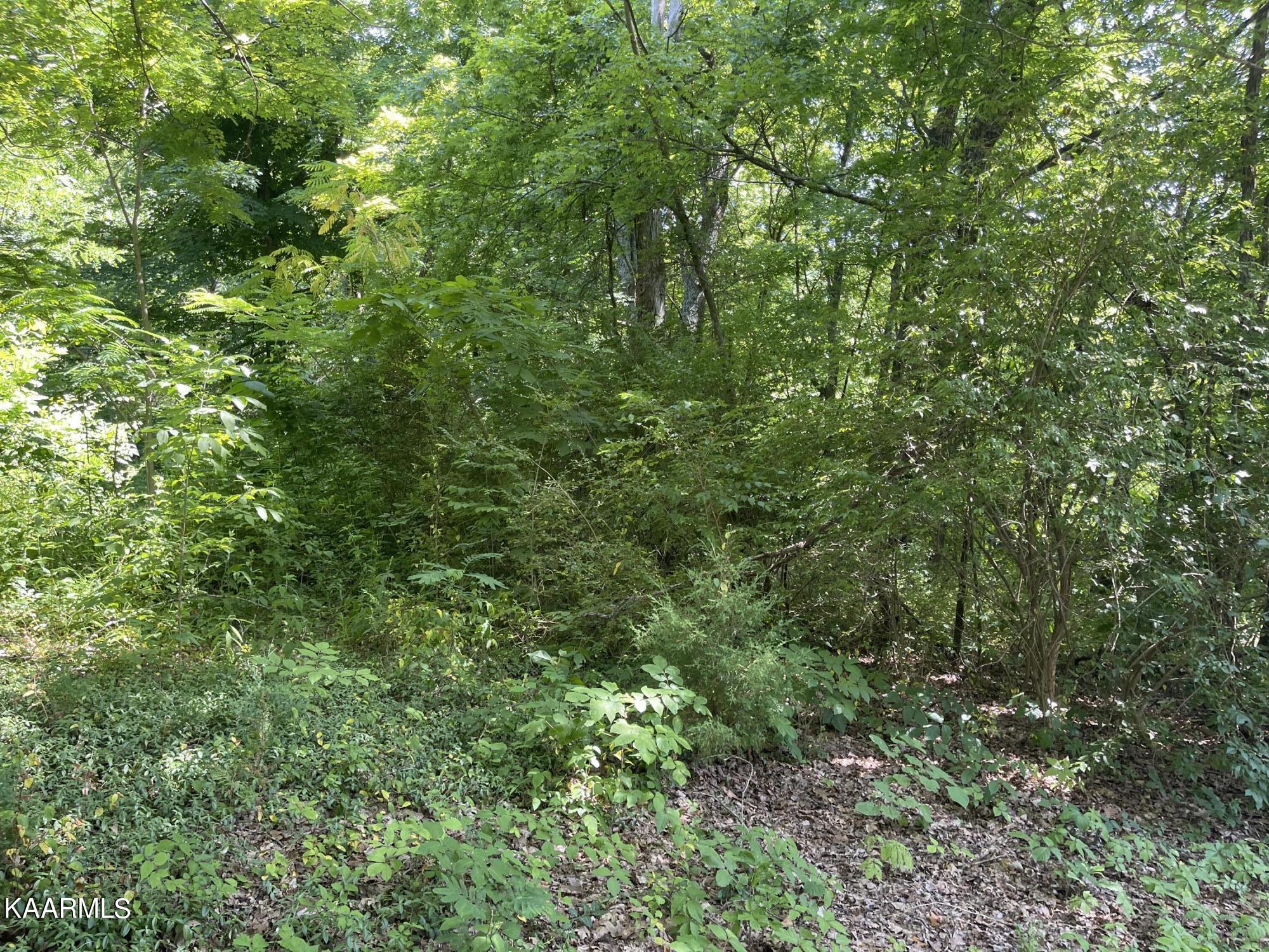1508 Smallman Road Knoxville, TN 37920 - Photo 10 of 11 B0F15344-F8E4-4220-BE92-21E01C3140CC