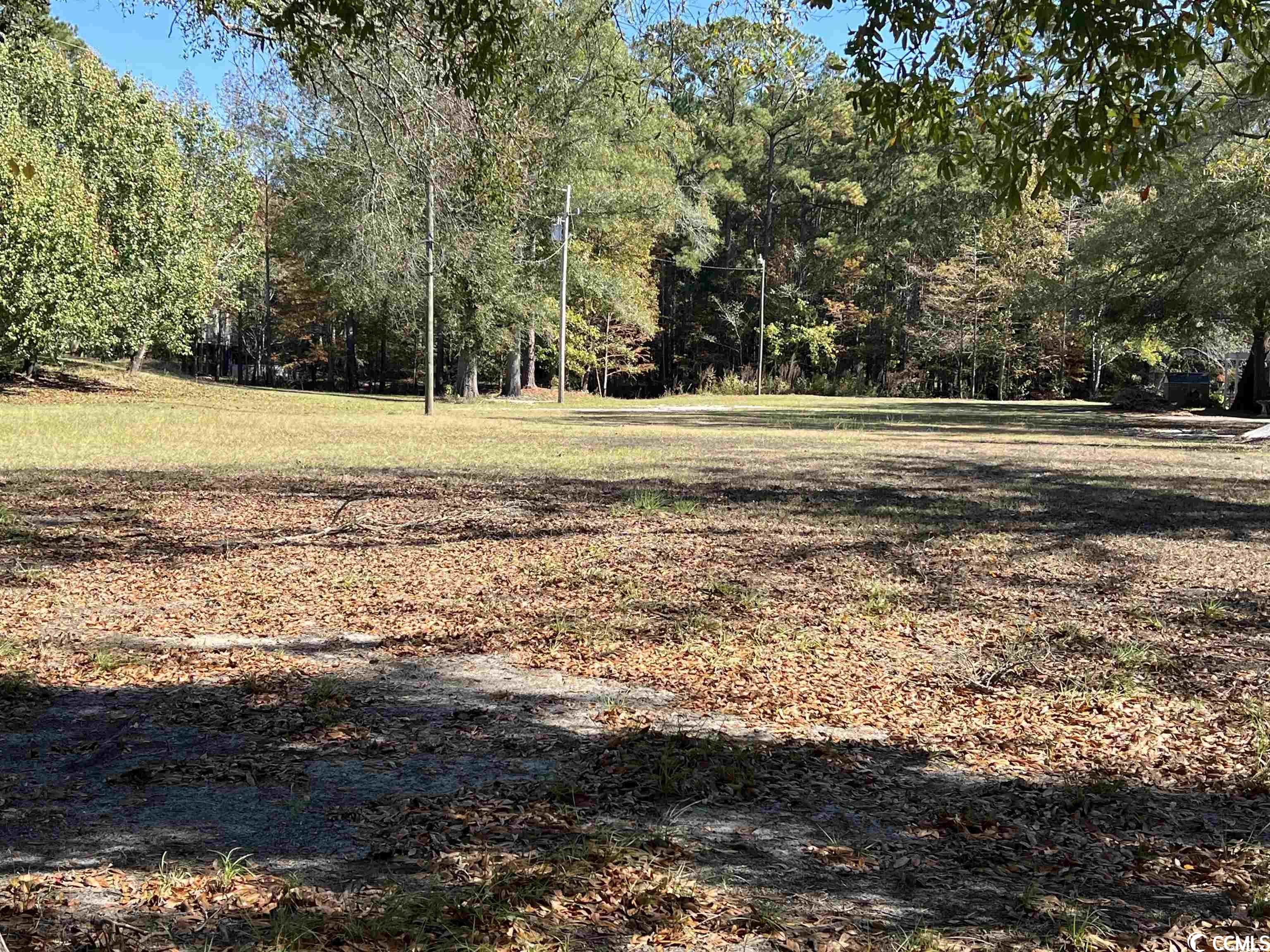 1956 Lees Landing Circle Conway, SC 29526 - Photo 2 of 6