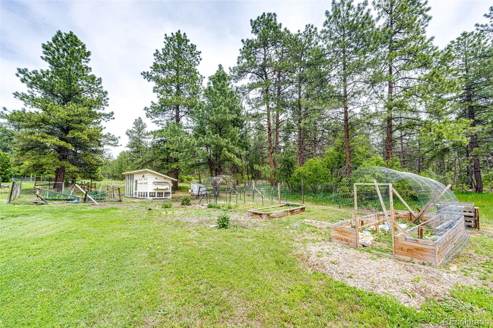 8788 East Tanglewood Road Franktown, CO 80116 - Photo 38 of 48 a view of a park with swings