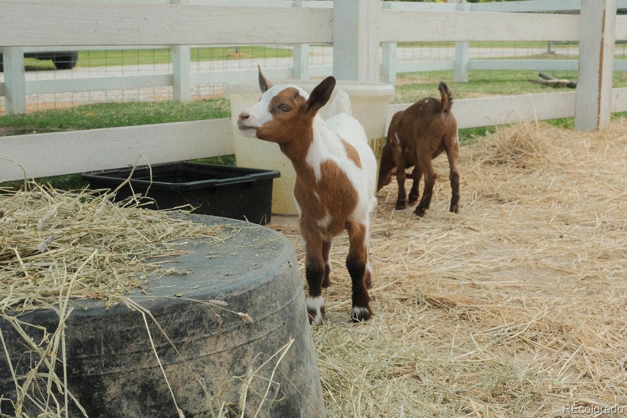 8788 East Tanglewood Road Franktown, CO 80116 - Photo 48 of 48 a view of three
