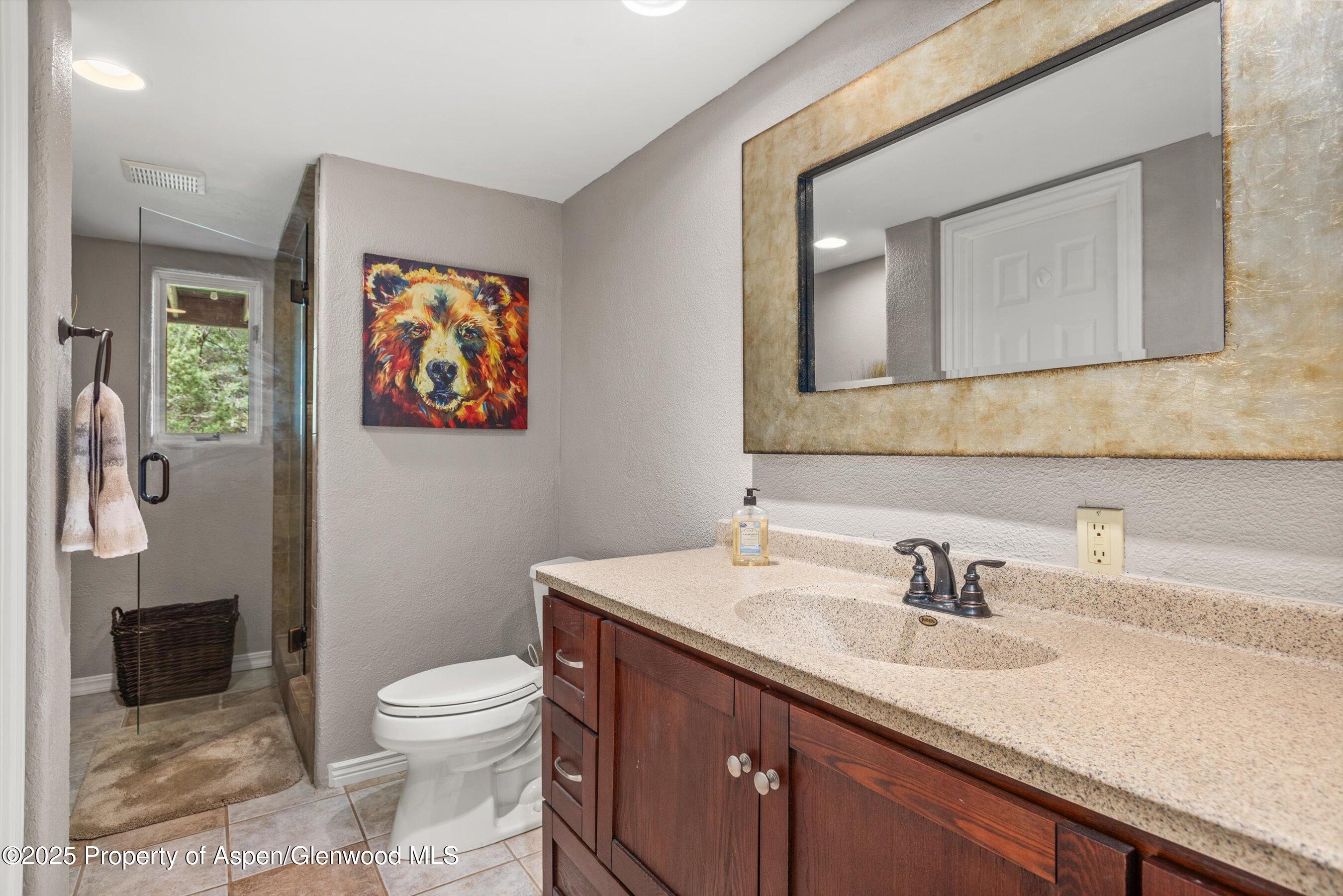 162 Original Road Basalt, CO 81621 - Photo 45 of 60 3rd bathroom