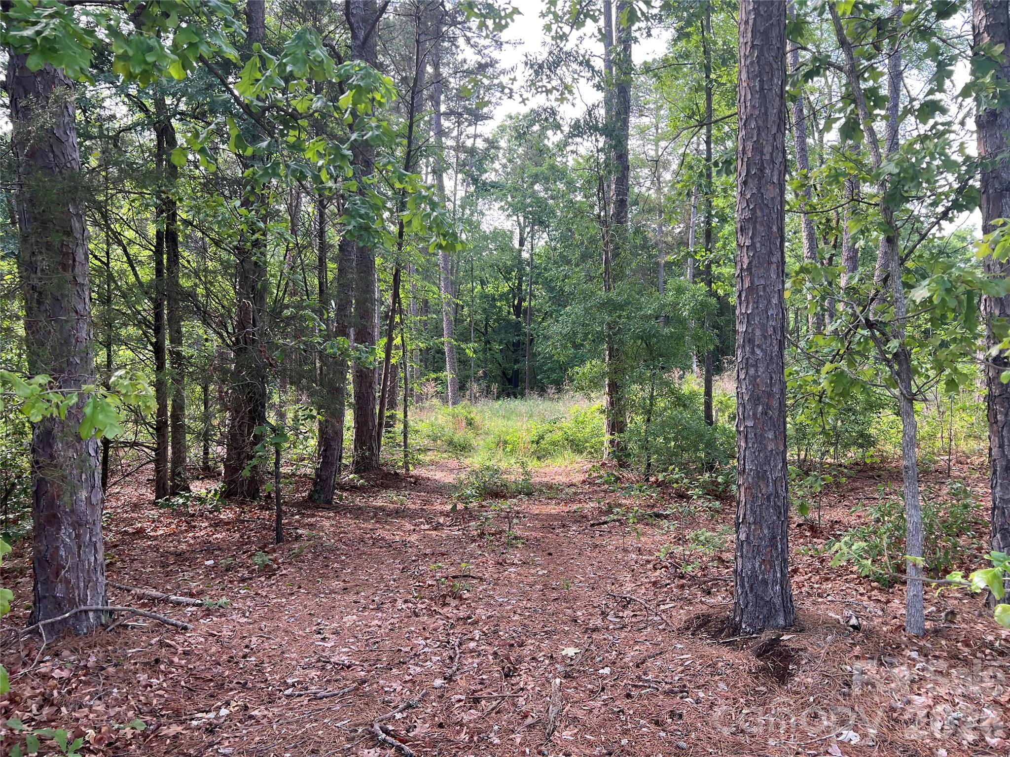 5620 Barrier Georgeville Road Mount Pleasant, NC 28124 - Photo 9 of 16 a view of a park