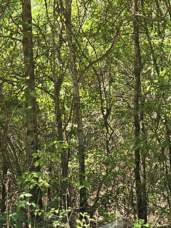 421 County Road 421 Tyler, TX 75704 - Photo 6 of 11