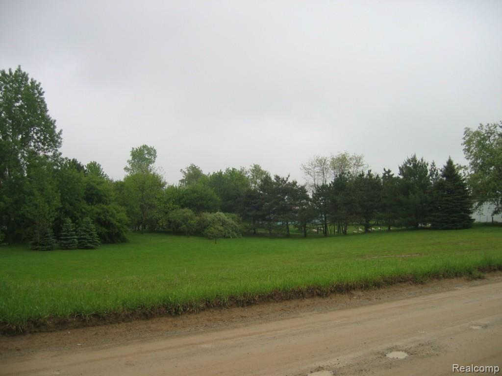 3888 Hogback Road Fowlerville, MI 48836 - Photo 6 of 21