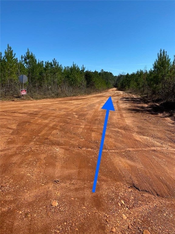 0 Milltown Road Camp Hill, AL 36850 - Photo 9 of 12 Gallery Image 9
