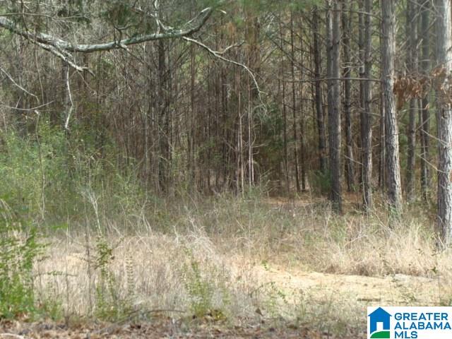 Roy Drive, Unit LAND Helena, AL 35080 - Photo 3 of 4