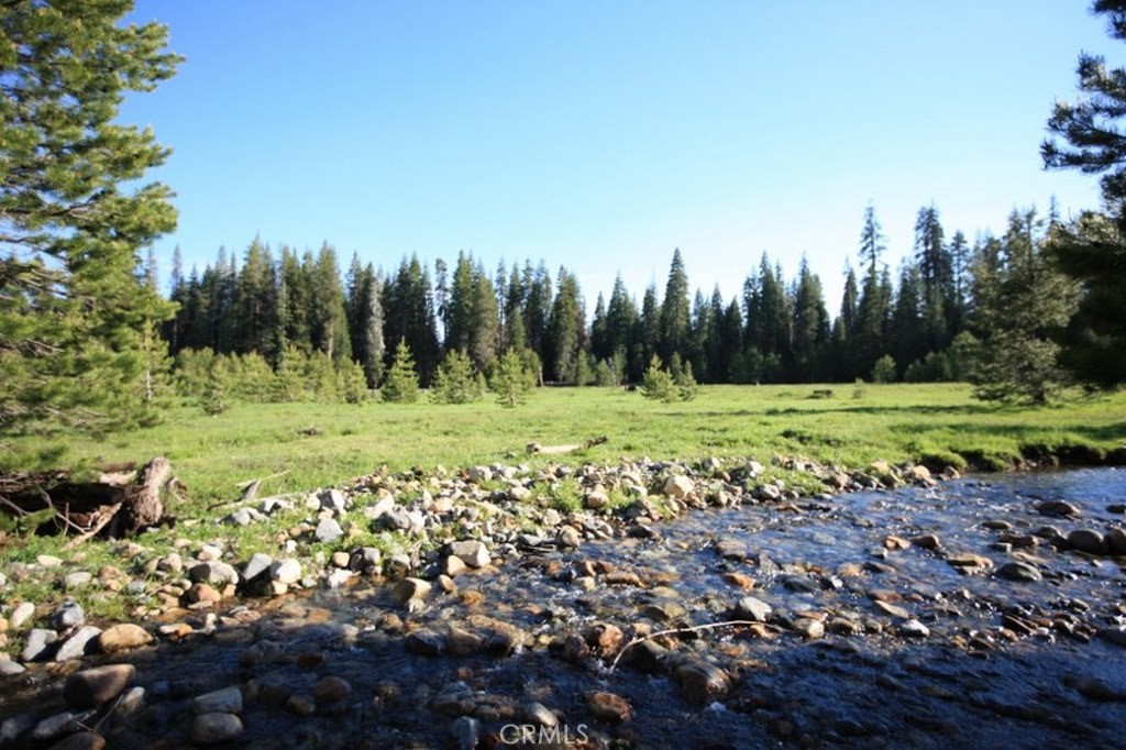 10-ac Beasore Road Bass Lake, CA 93604 - Photo 2 of 15