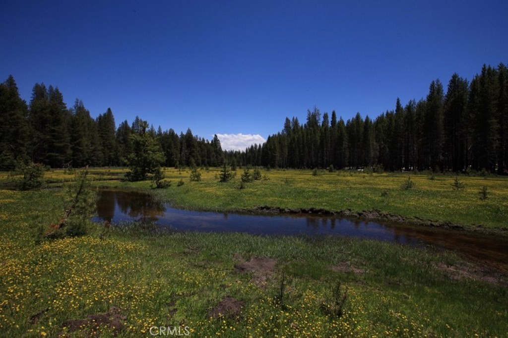 10-ac Beasore Road Bass Lake, CA 93604 - Photo 5 of 15 a view of outdoor space with green field and trees