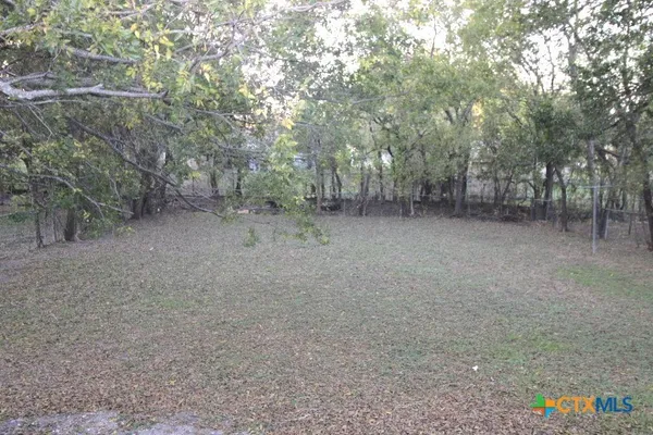 a view of a forest with trees in the background