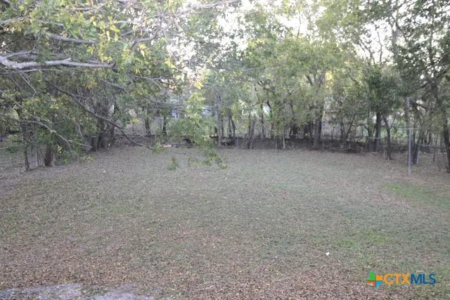 a view of a forest with trees in the background