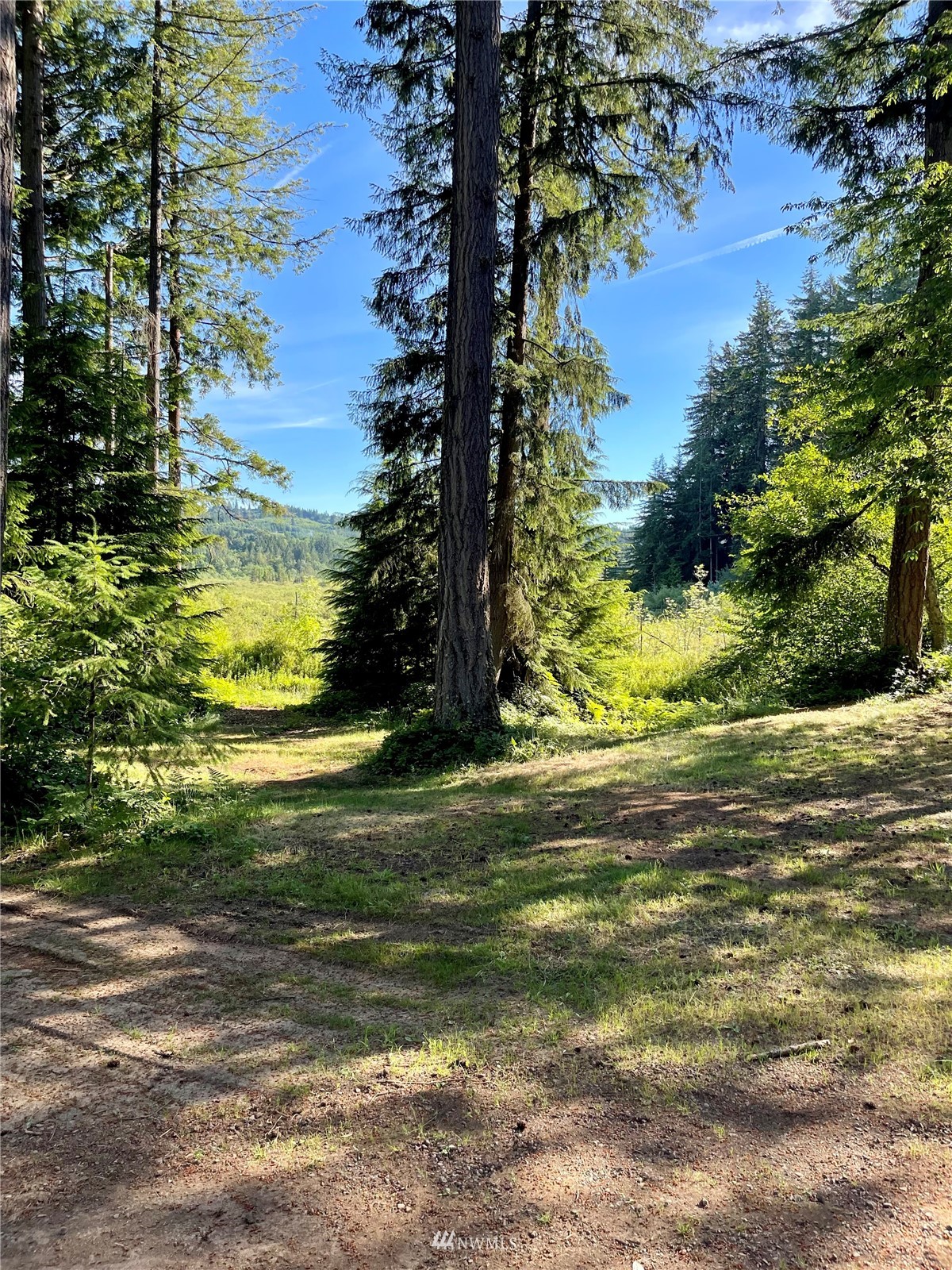 140 Jim's View Road Silverlake, WA 98645 - Photo 18 of 23 Gallery Image 18