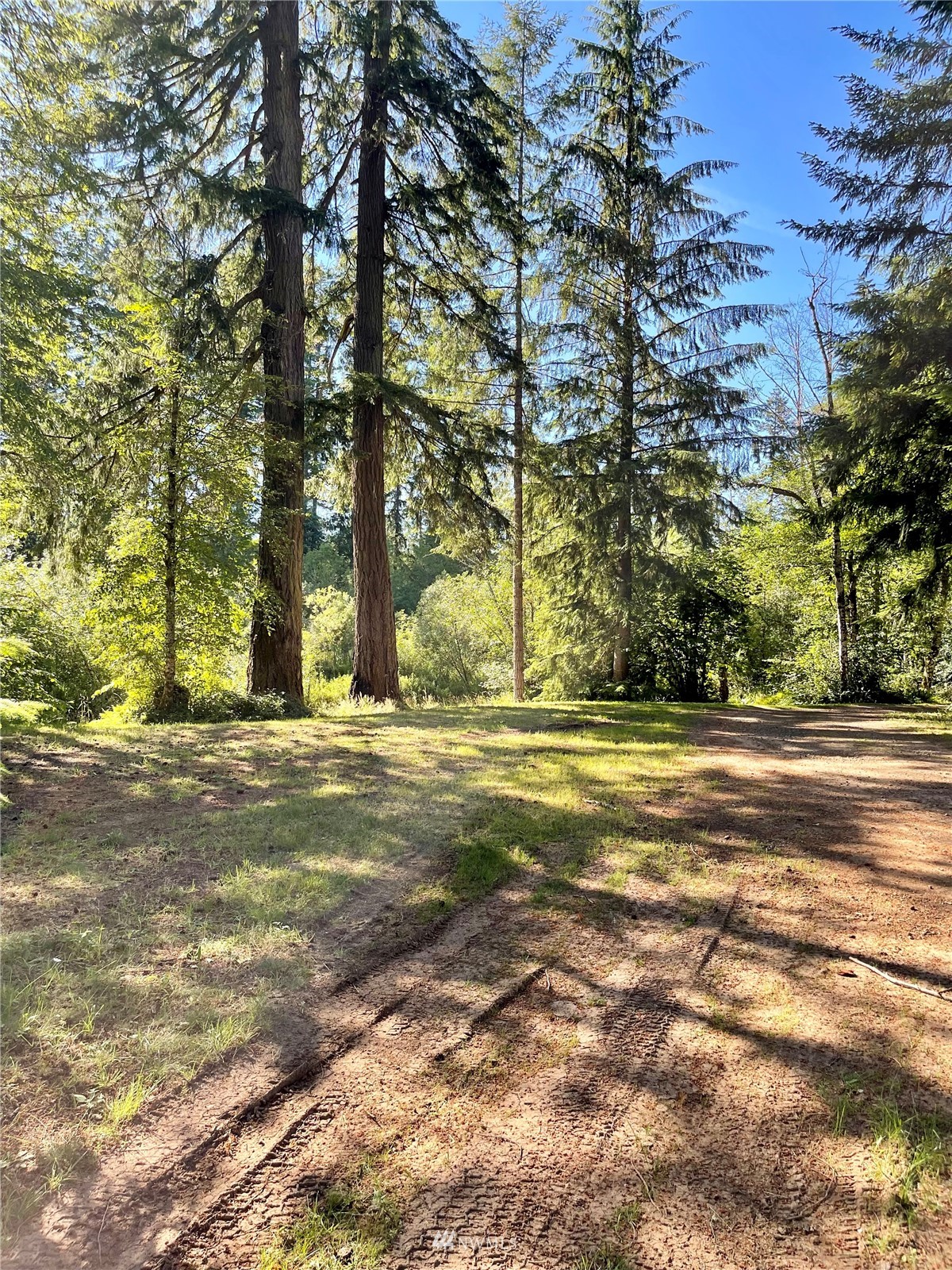140 Jim's View Road Silverlake, WA 98645 - Photo 20 of 23 Gallery Image 20