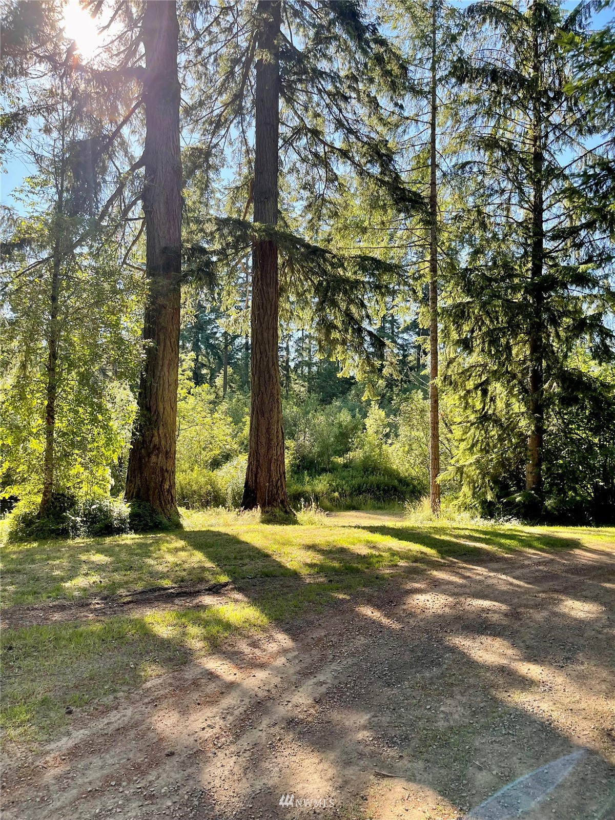 140 Jim's View Road Silverlake, WA 98645 - Photo 8 of 23 Gallery Image 8