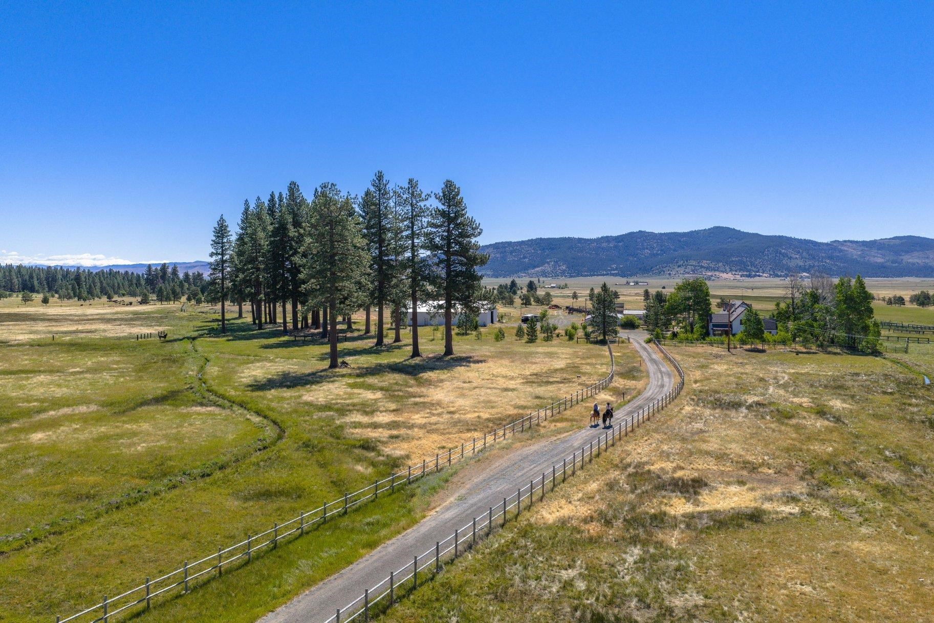 22440 Highway 89 Calpine, CA 96124 - Photo 17 of 27
