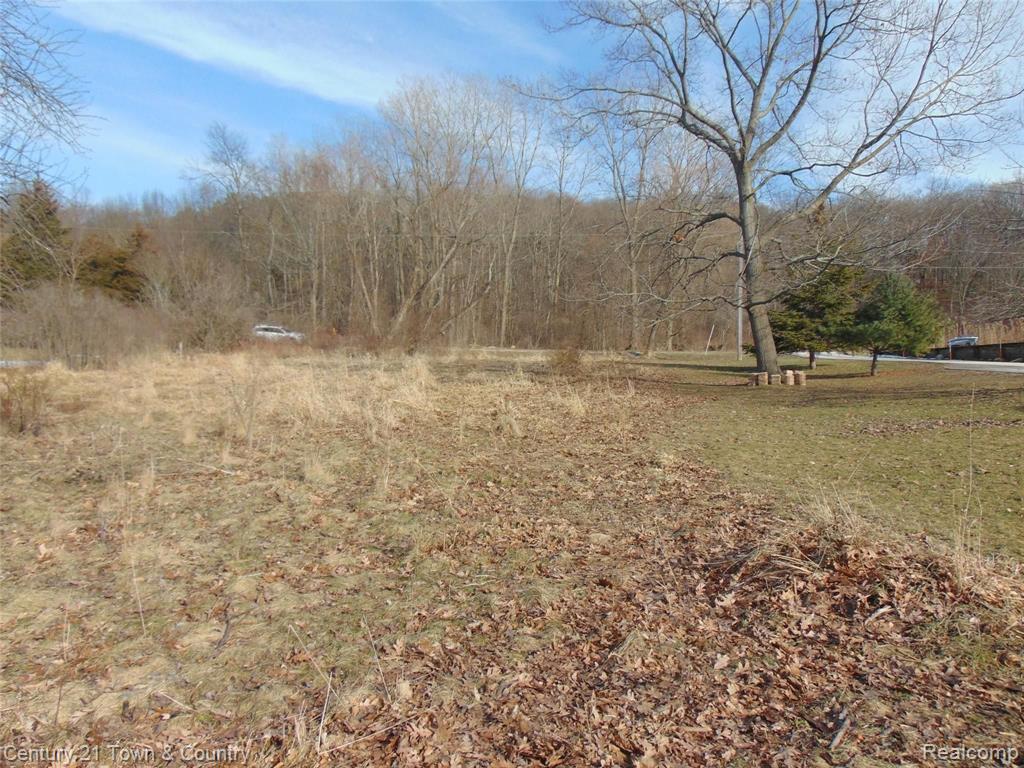 0 Taylor Lake Road Pontiac, MI 48342 - Photo 2 of 10