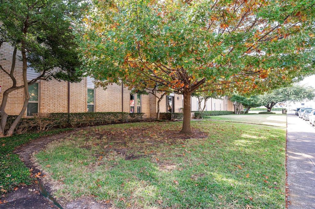 5812 Milton Street, Unit 105 Dallas, TX 75206 - Photo 1 of 12 a view of backyard with tree