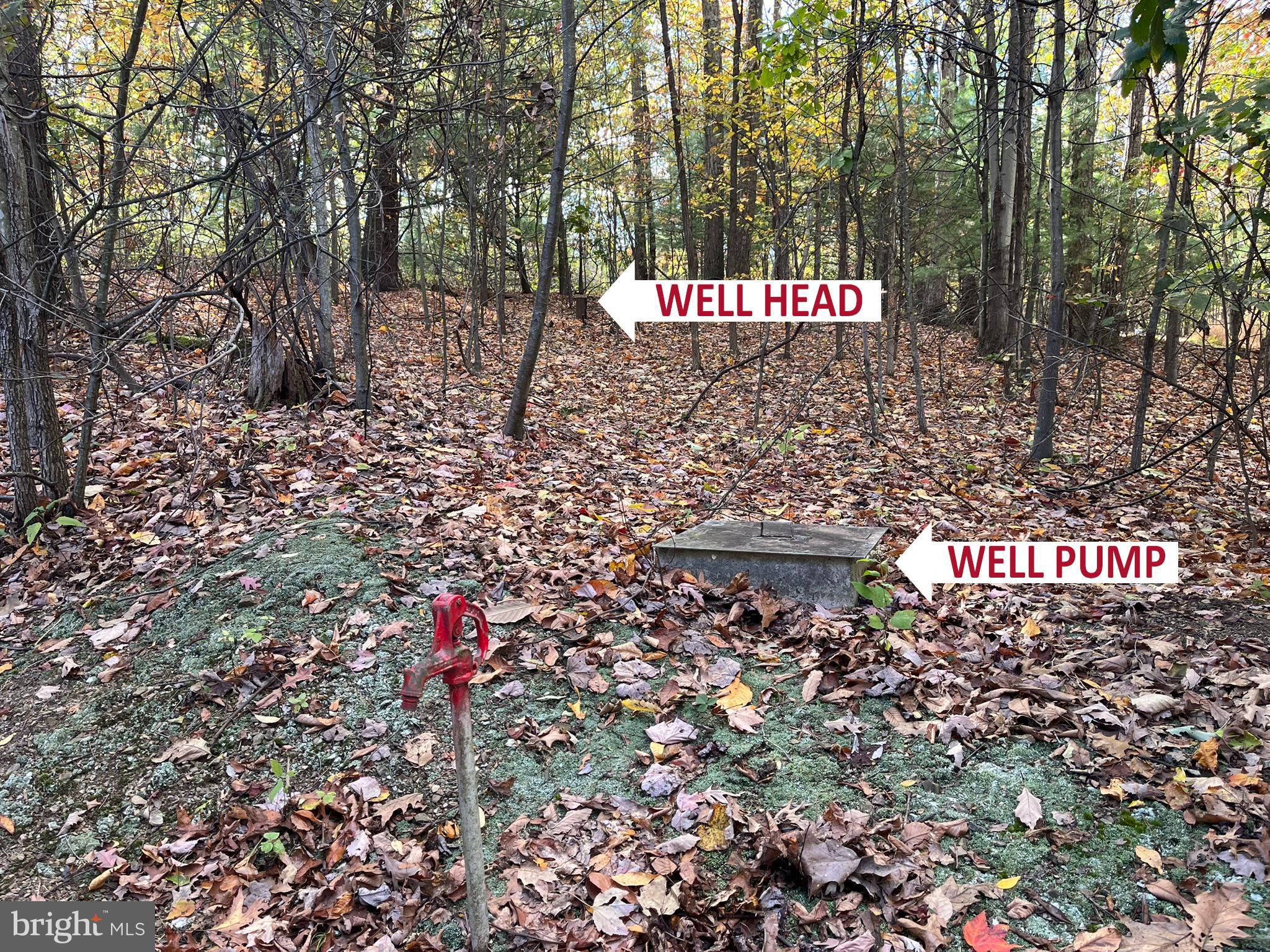 9766 Valley View Road Three Springs, PA 17264 - Photo 26 of 40 a sign that is sitting in the forest