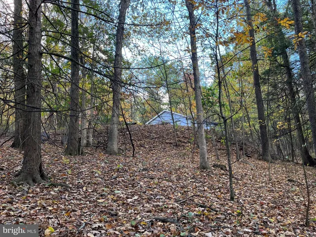 a view of covered with trees