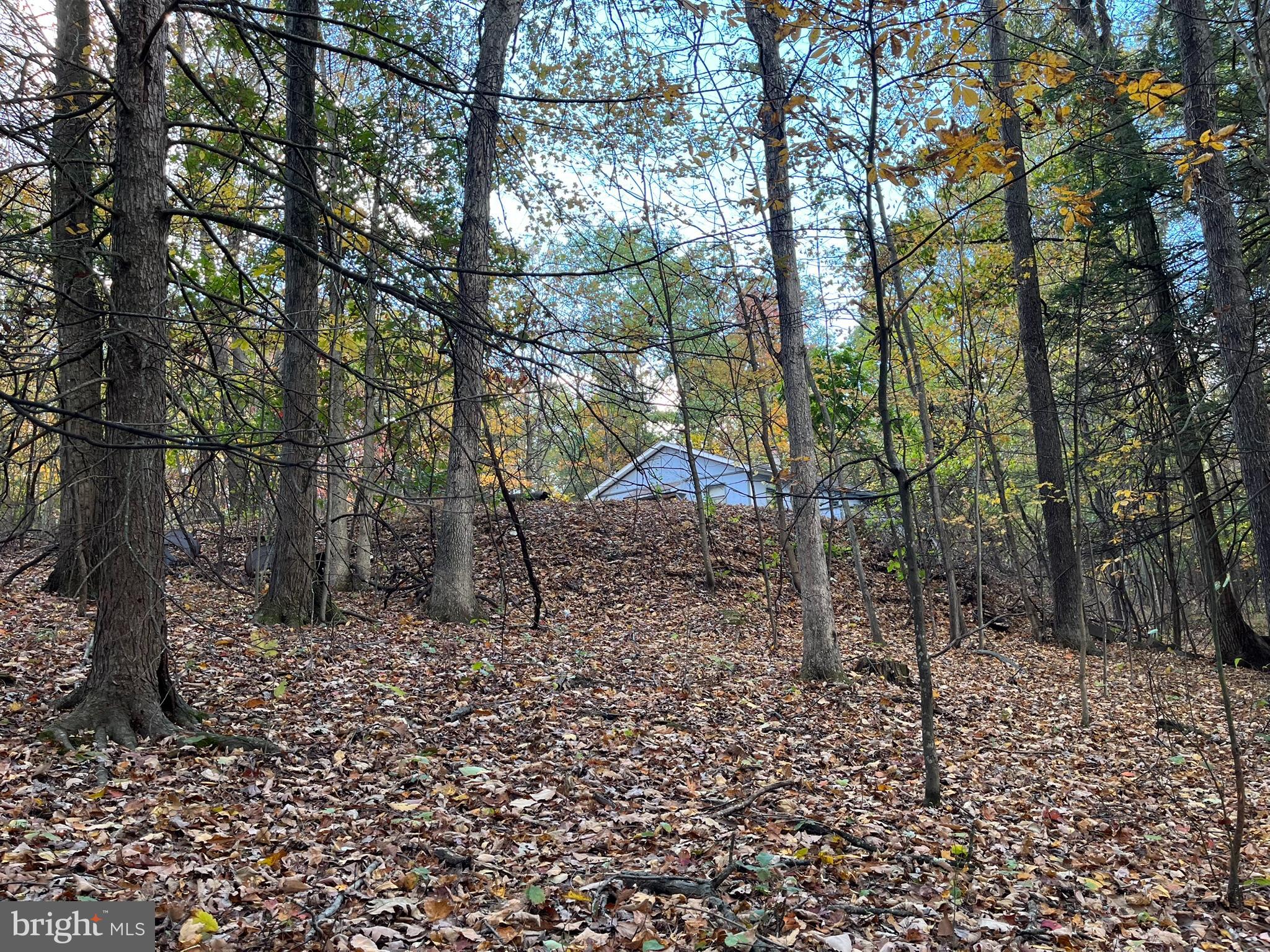 9766 Valley View Road Three Springs, PA 17264 - Photo 28 of 40 a backyard of a house with lots of green space