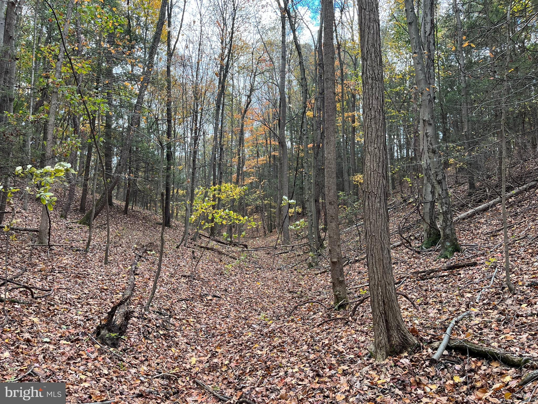 9766 Valley View Road Three Springs, PA 17264 - Photo 32 of 40 a backyard of a house with lots of green space