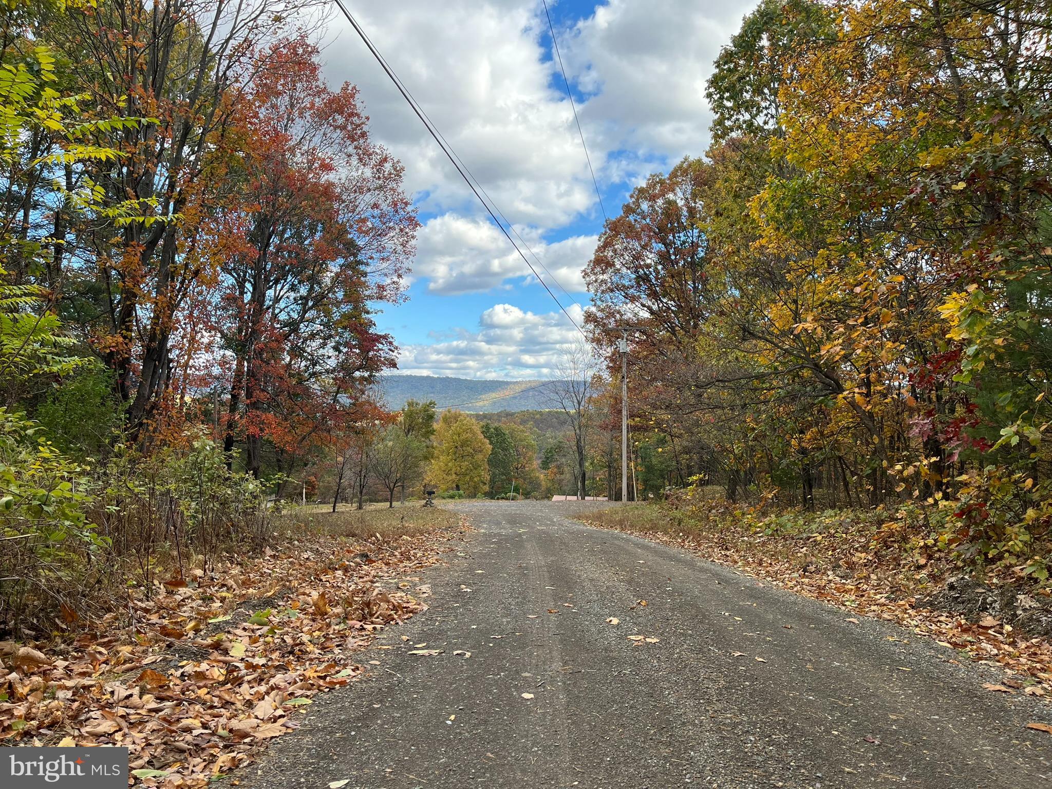 9766 Valley View Road Three Springs, PA 17264 - Photo 37 of 40 a view of road with large trees