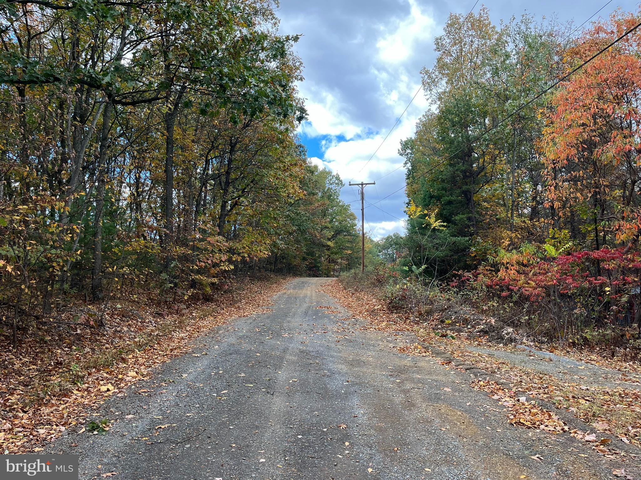 9766 Valley View Road Three Springs, PA 17264 - Photo 38 of 40 a view of a yard with plants and a trees