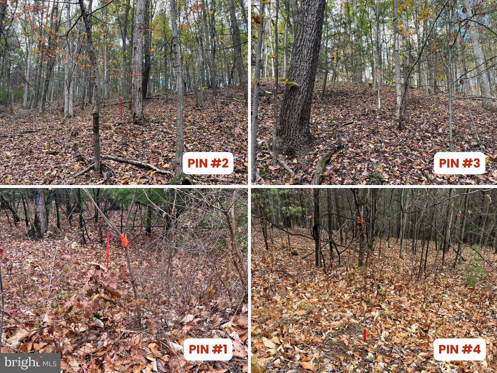 9766 Valley View Road Three Springs, PA 17264 - Photo 40 of 40 a view of outdoor space and garden