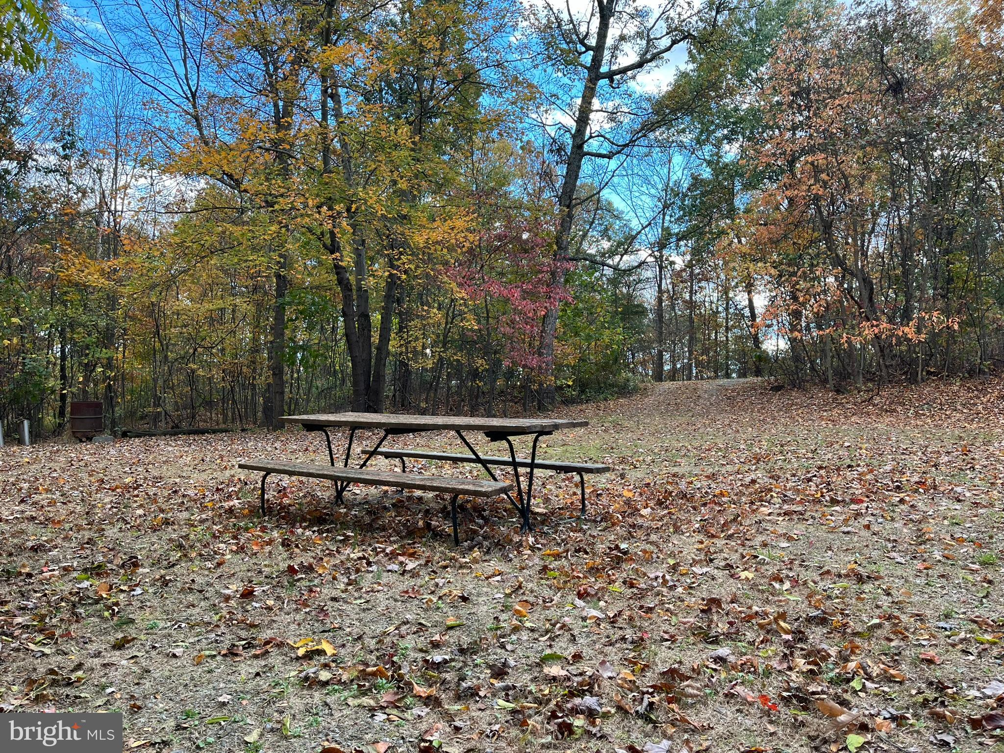9766 Valley View Road Three Springs, PA 17264 - Photo 6 of 40 a view of a bench in a backyard