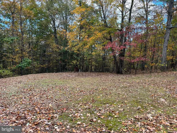 a view of backyard with green space