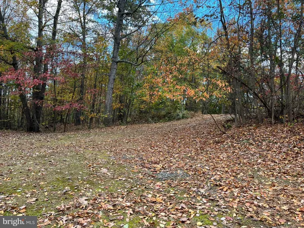 a wooden house with a small yard