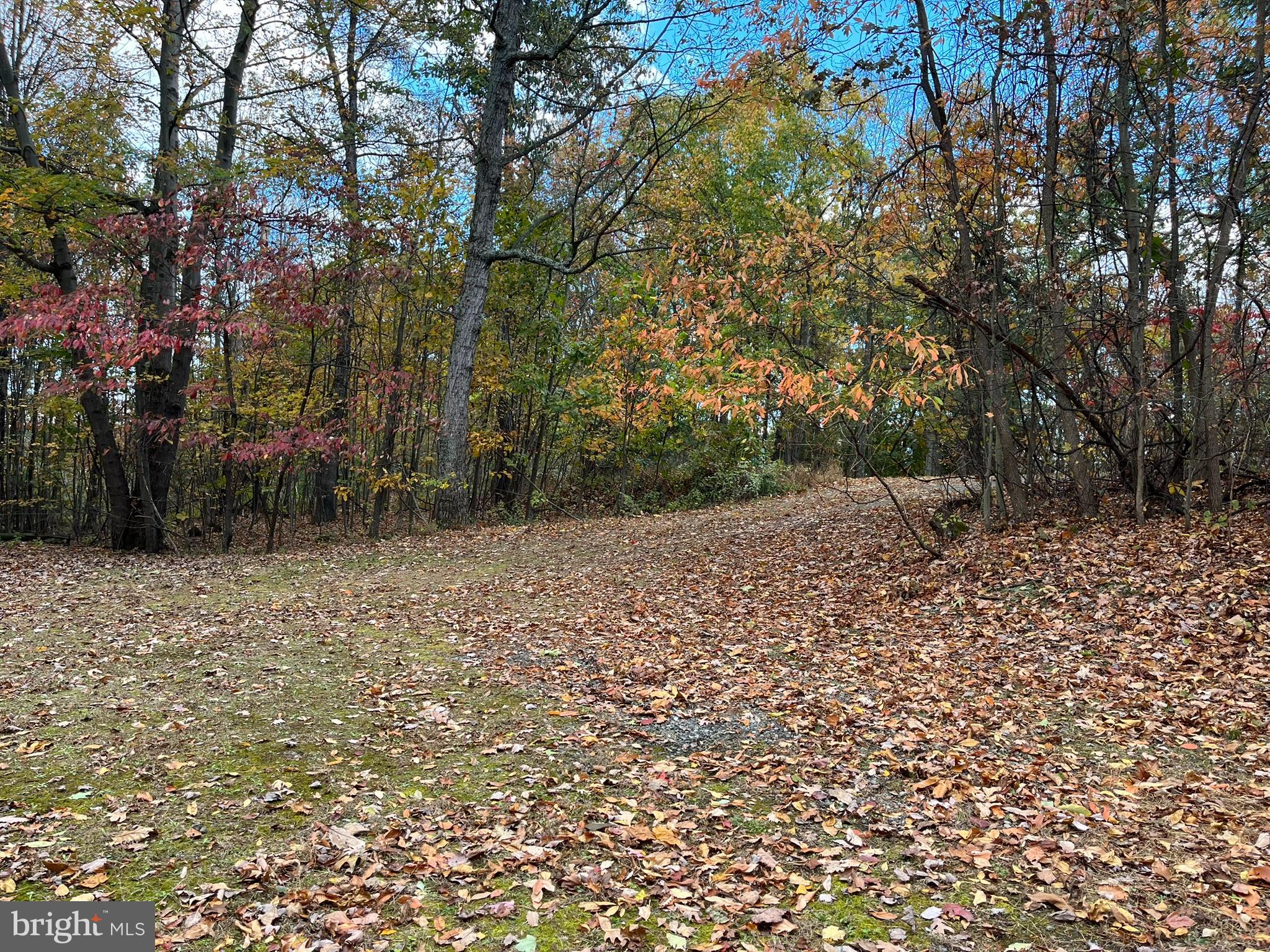 9766 Valley View Road Three Springs, PA 17264 - Photo 8 of 40 a view of backyard with green space