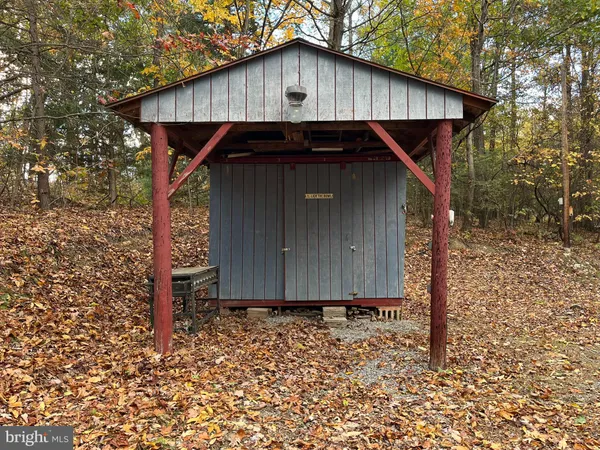 a view of backyard with trees
