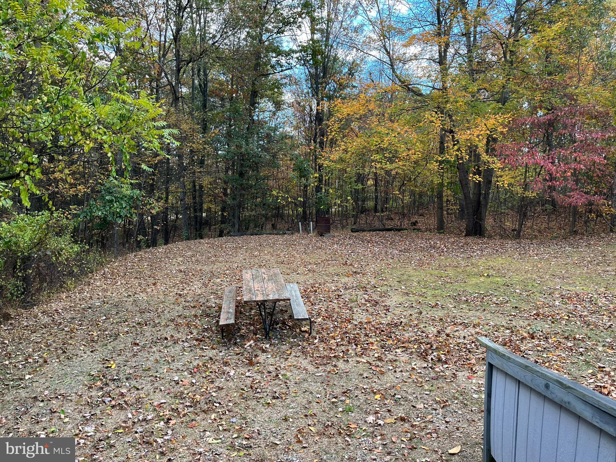 9766 Valley View Road Three Springs, PA 17264 - Photo 10 of 40 a view of backyard with trees