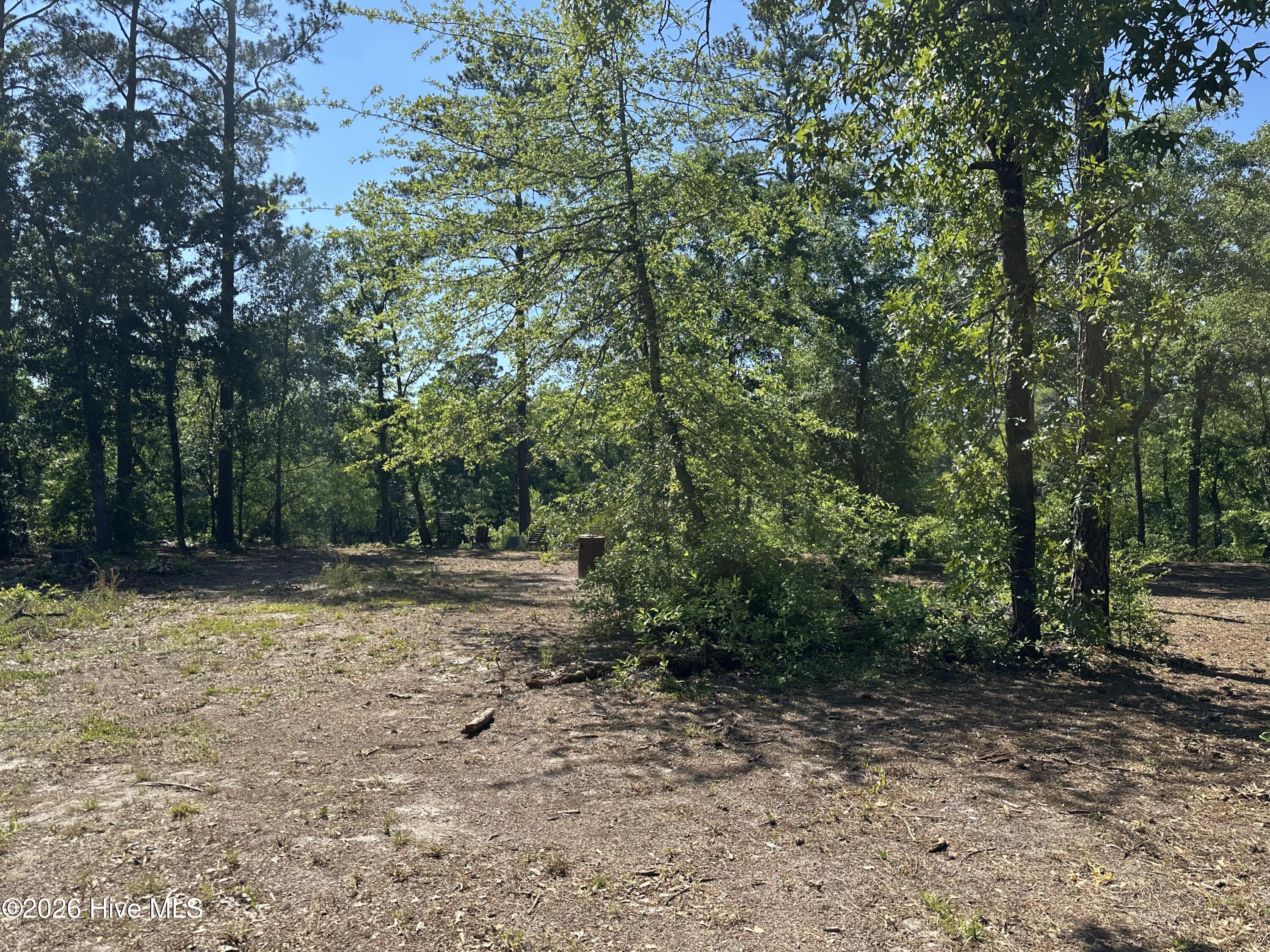 2 Big Eagle Road Atkinson, NC 28421 - Photo 4 of 8
