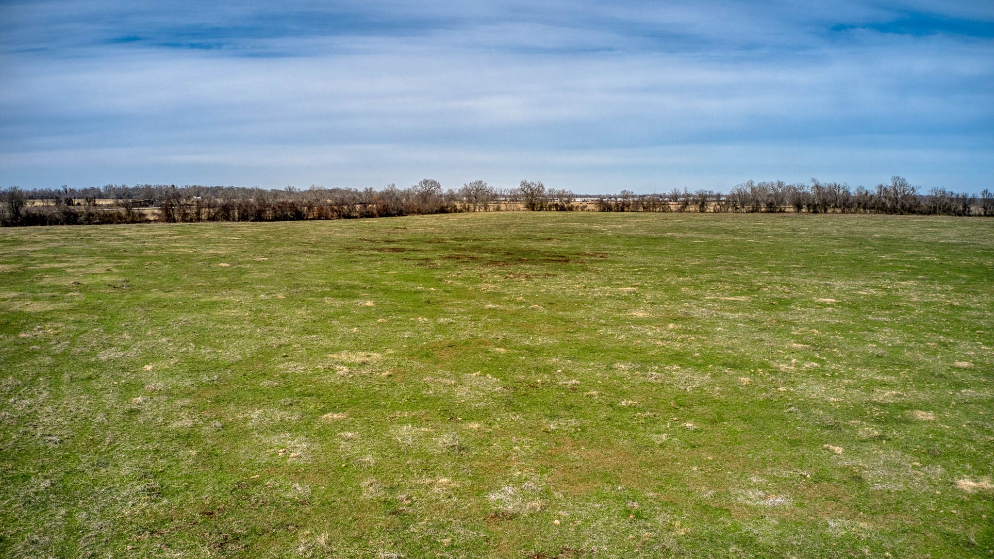 42919 Addie Gee Road Hempstead, TX 77445 - Photo 15 of 22