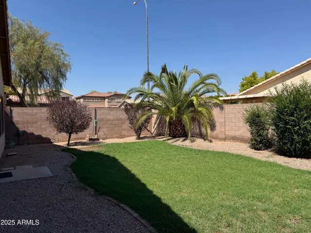 a view of a yard with palm tree