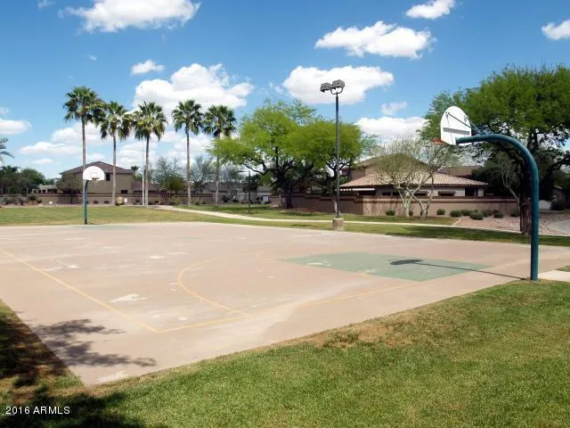 a view of a basket ball ground