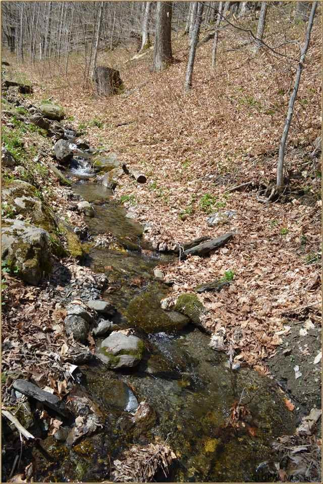 4330 Kent Road Rupert, VT 05768 - Photo 24 of 25 Photo 24