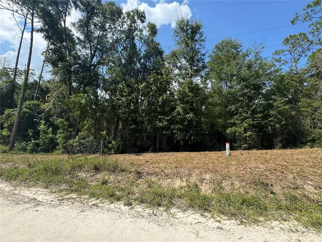 $40,000 | 44 Southwest Kentucky Street, Fort White, FL 32038