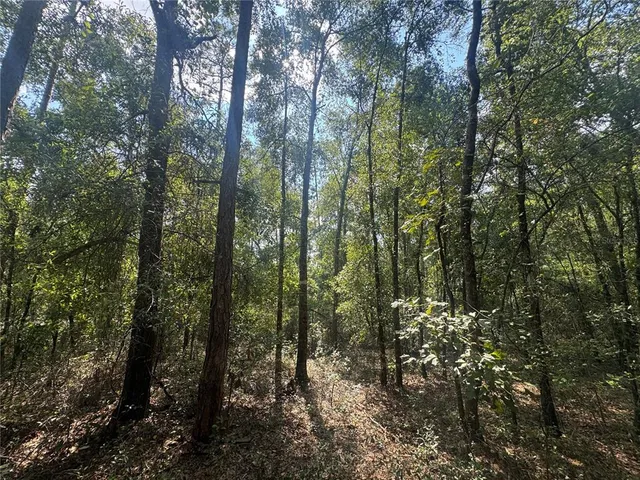 $40,000 | 44 Southwest Kentucky Street, Fort White, FL 32038