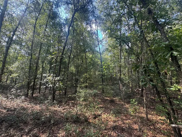 $40,000 | 44 Southwest Kentucky Street, Fort White, FL 32038