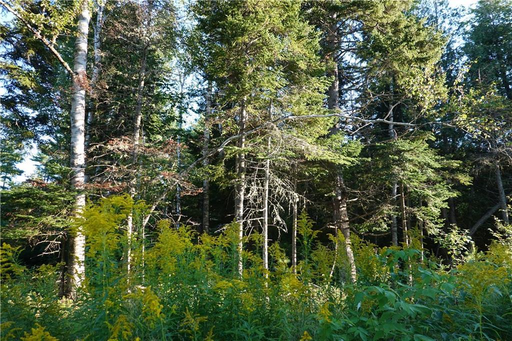 67 Black Road South Searsport, ME 04974 - Photo 1 of 4 Photo