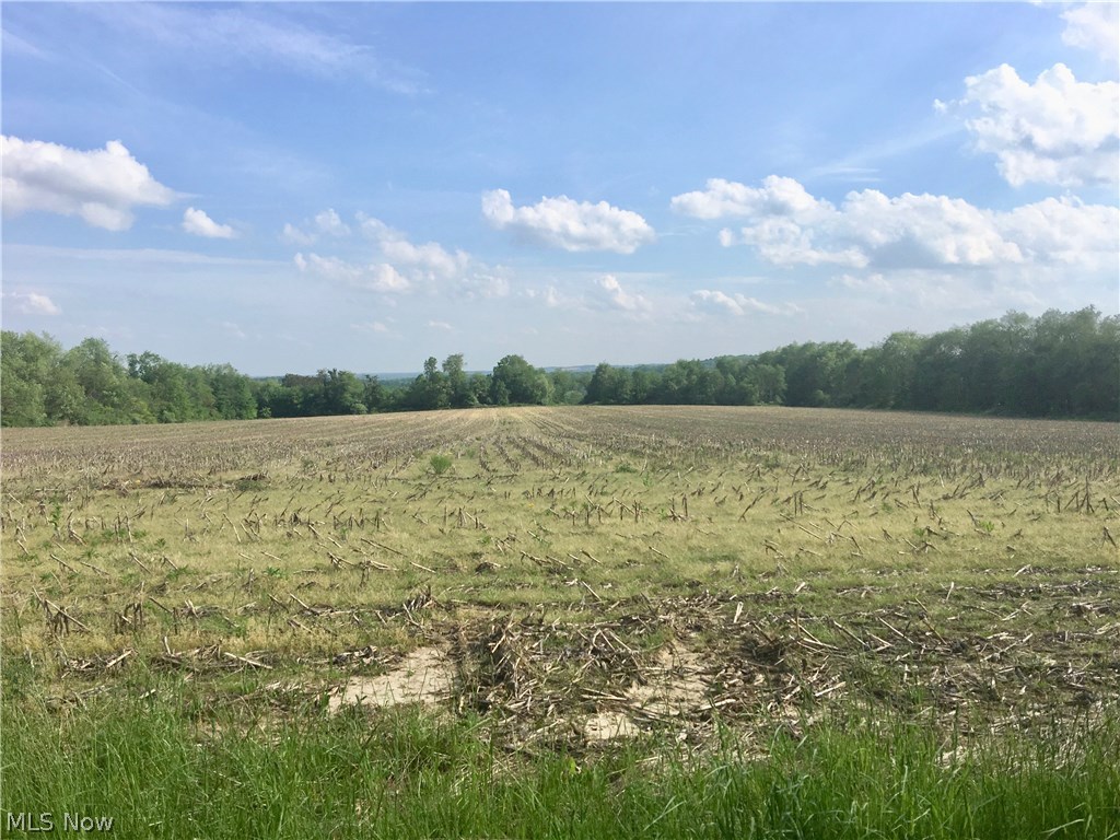 Limbach Road Clinton, OH 44216 - Photo 3 of 6
