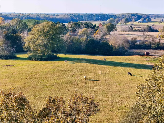 a view of a swimming pool with a yard