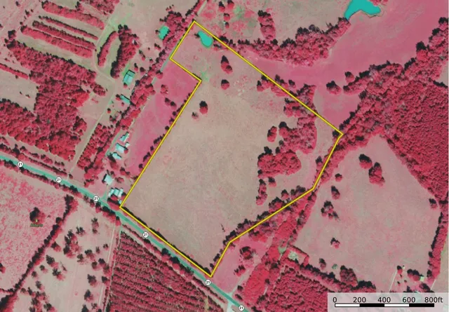 $247,140 | 0 Sh 21, San Augustine, TX 75972