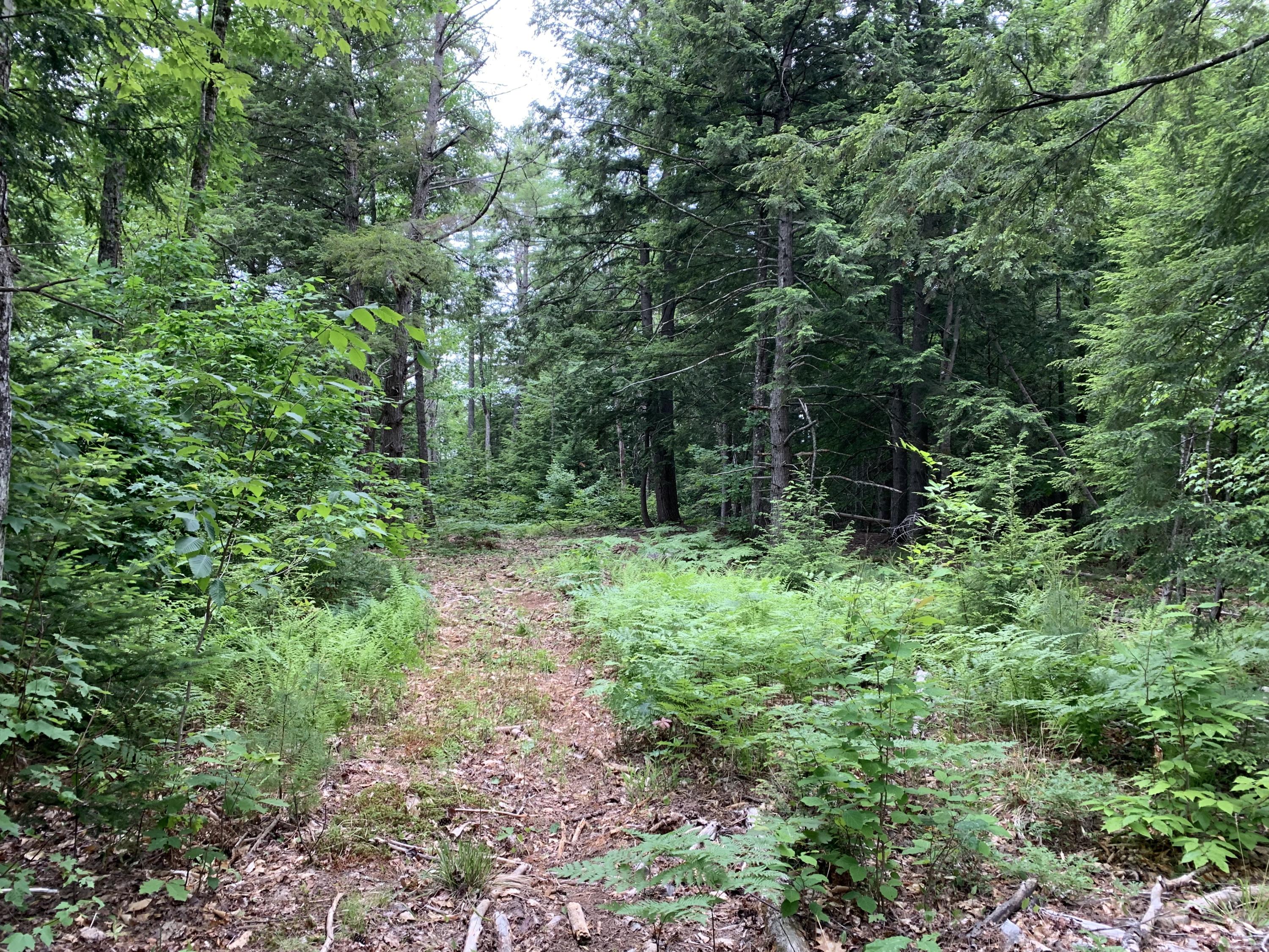 Lot 70 South Chatham Road Fryeburg, ME 04037 - Photo 2 of 4 IMG_5611