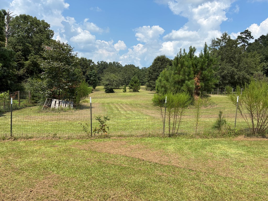1602 County Road 50 Abbeville, AL 36310 - Photo 58 of 61 Fenced acreage