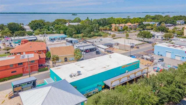 a view of garden with trees