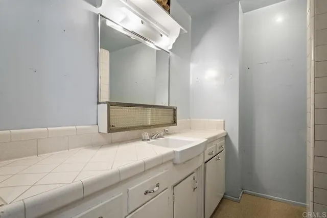 a bathroom with a sink and a shower