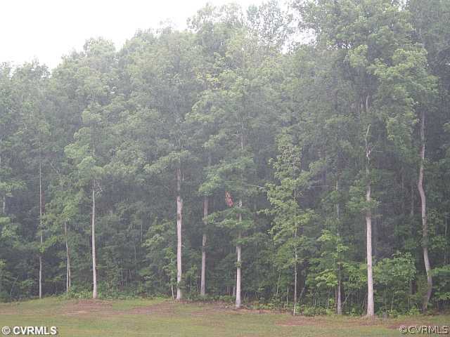 6130 Autumn Bluff Road Powhatan, VA 23139 - Photo 3 of 6 Land - Nicely wooded parcel